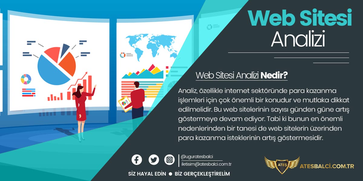 Websitesi Analizi